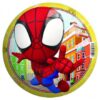 Spidey & Friends lichtgewicht Bal - 22 cm