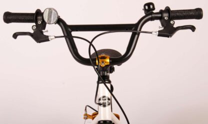 Cool Rider fiets 13 W1800