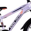 Volare Cross Kinderfiets - Jongens - 20 inch - Zilver - 6 versnellingen - Afbeelding 7