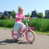 Volare Excellent Kinderfiets - Meisjes - 16 inch - Roze - 95% afgemonteerd - Afbeelding 5