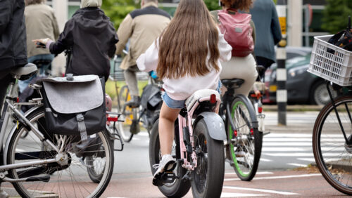 Fietsersbond fatbikes foto DigiDaan 500x282 1