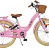 Volare Blossom Kinderfiets - Meisjes - 20 inch - Roze - Twee handremmen