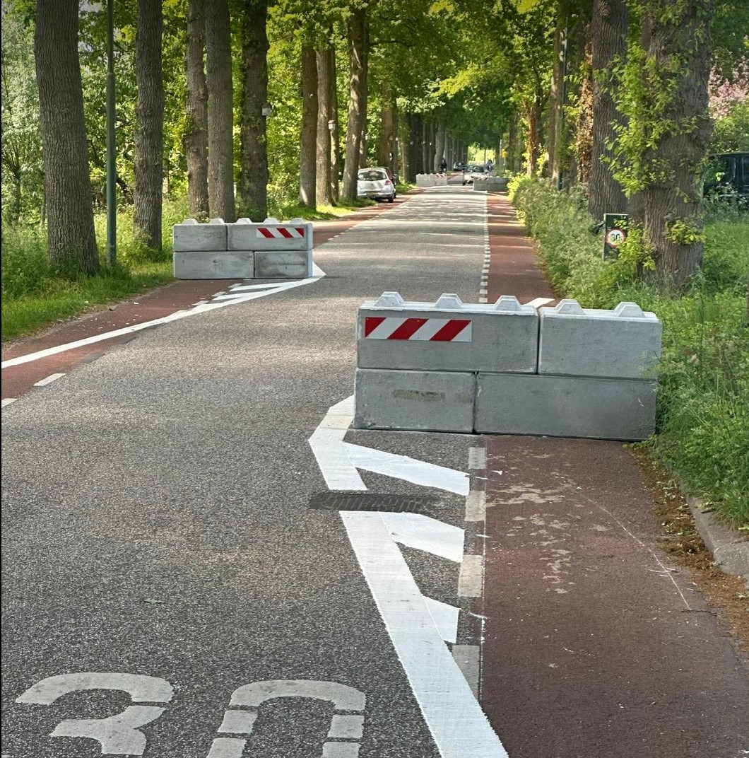 Vreemden in Leersum 7 IMG 2395 bijgesneden