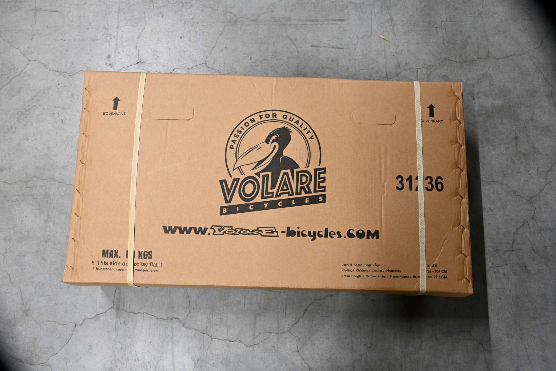 Volare Ashley Kinderfiets - Meisjes - 12 inch - Groen 13 Volare Ashley Kinderfiets - Meisjes - 12 inch - Groen - Afbeelding 13