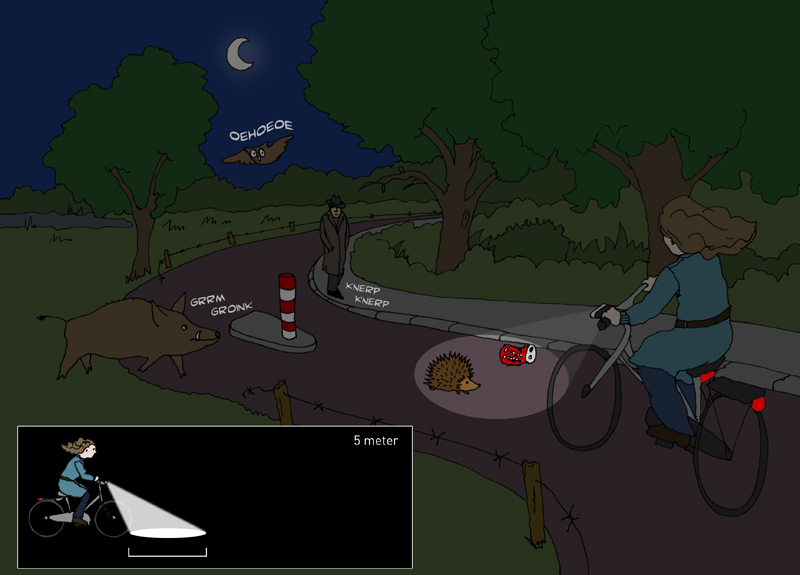 36350135164 69d577f784 o