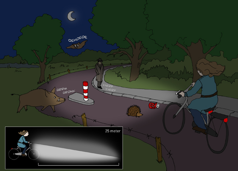 Fietser met goed afgestelde lamp