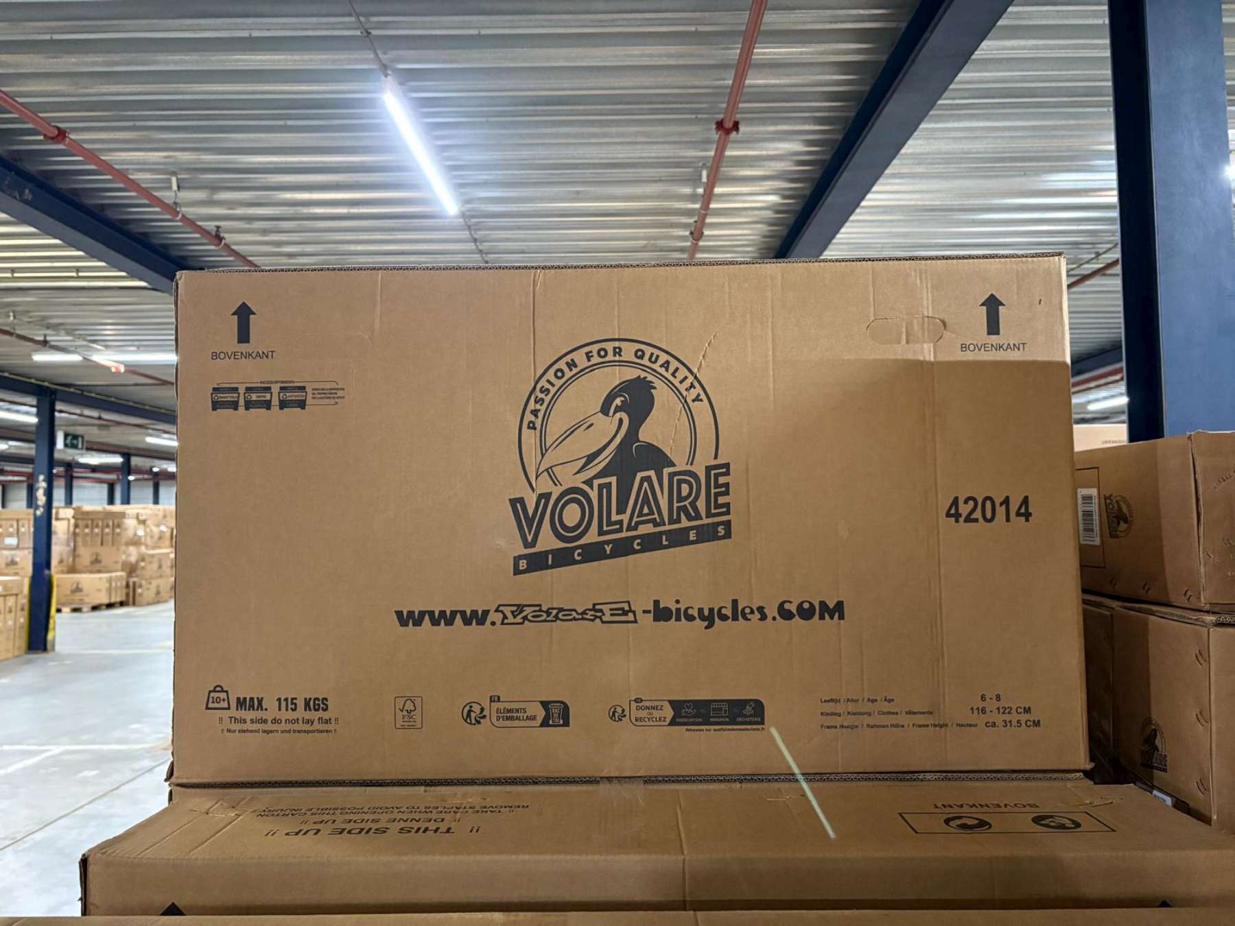 Volare Rocky Kinderfiets - 20 inch - 3 speed - Groen/Grijs 14 Volare Rocky Kinderfiets - 20 inch - 3 speed - Groen/Grijs - Afbeelding 14