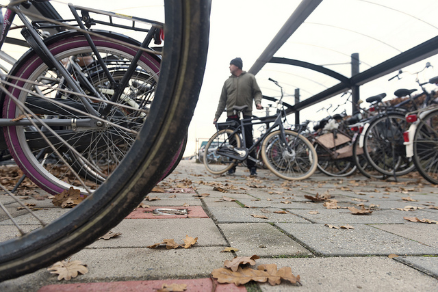 België en Noordrijn-Westfalen werken samen om autodiefstal te stoppen 10 bunnikdief