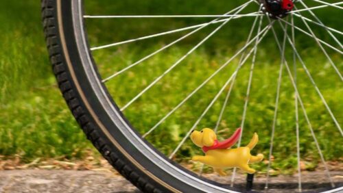 fietshondjehenry 500x282 1