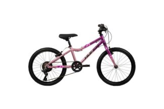 Literide Kinderfiets - Meisjes - 20 inch - Paars/Roze - Twee handremmen